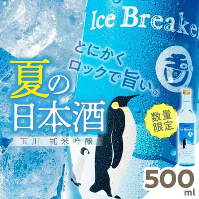 木下酒造『玉川 Ice Breaker』純米吟醸 無濾過生原酒 500ml ロックで爽快地酒 日本酒