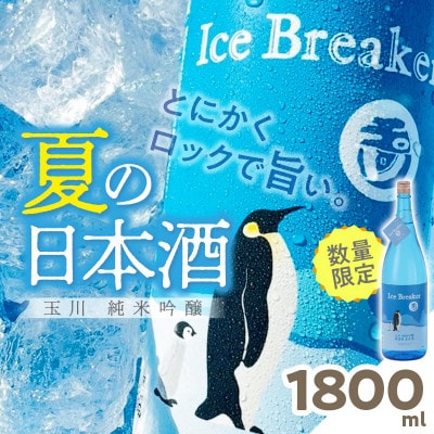 木下酒造『玉川 Ice Breaker』純米吟醸 無濾過生原酒 1800ml 爽快な旨さの地酒日本酒