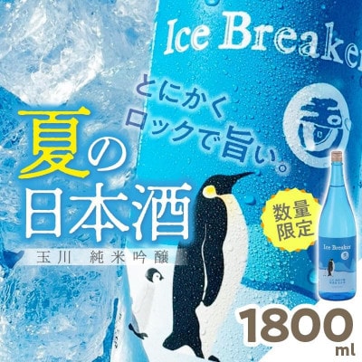 木下酒造『玉川 Ice Breaker』純米吟醸 無濾過生原酒 1800ml 爽快な旨さの地酒日本酒