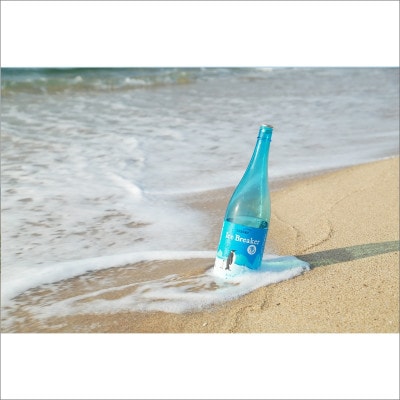 木下酒造『玉川 Ice Breaker』純米吟醸 無濾過生原酒 1800ml 爽快な旨さの地酒日本酒