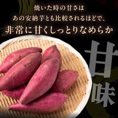 あま〜い幸せ♪極上のしっとり感と甘味が特徴  京丹後産 紅はるか 3kg　農家直送