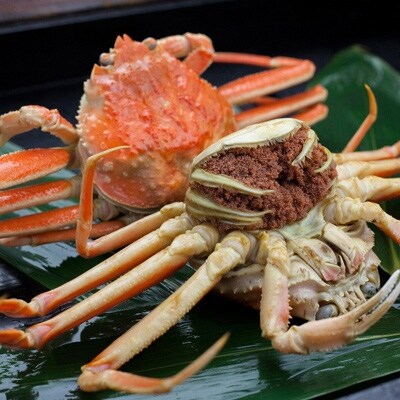 美味!驚きの旨さ!茹でセコガニ　厳選 中サイズ5匹入(茹で上がり後1匹175g以上)