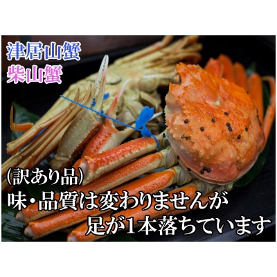 日本海産　茹で松葉蟹【訳あり】中大サイズmatubakani800　2匹入り