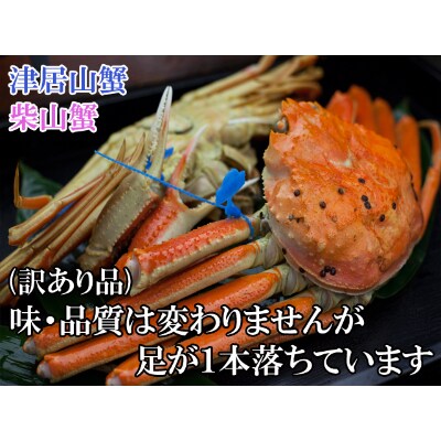 日本海産　茹で松葉蟹【訳あり】大サイズmatubakani900　2匹入り