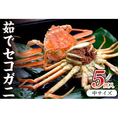 美味!驚きの旨さ!茹でセコガニ　厳選 中サイズ5匹入(茹で上がり後1匹175g以上)