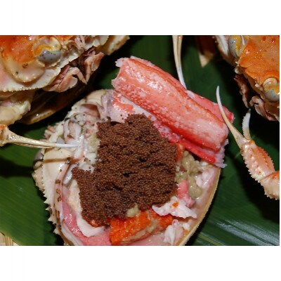 美味!驚きの旨さ!茹でセコガニ　厳選 中サイズ5匹入(茹で上がり後1匹175g以上)