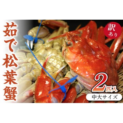 日本海産　ブランド蟹　茹で松葉蟹【訳あり】中大サイズmatubakani800　2匹入り