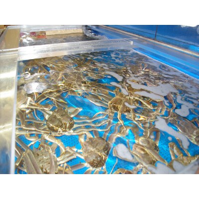 日本海産　ブランド蟹　茹で松葉蟹【訳あり】中大サイズmatubakani800　2匹入り