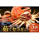 美味!驚きの旨さ!茹でセコガニ(訳あり) 中サイズ5匹入(茹で上がり後1匹175g以上)