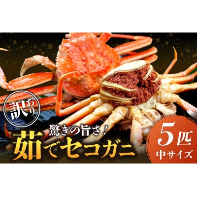 美味!驚きの旨さ!茹でセコガニ(訳あり) 中サイズ5匹入(茹で上がり後1匹175g以上)