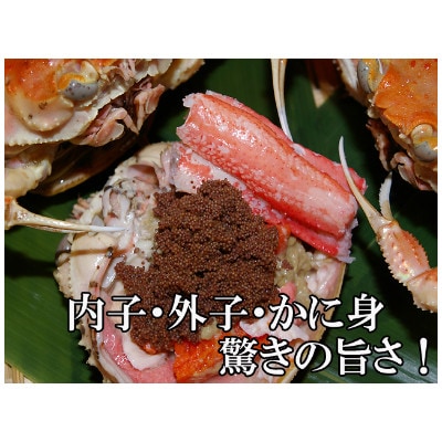 美味!驚きの旨さ!茹でセコガニ(訳あり) 中サイズ5匹入(茹で上がり後1匹175g以上)