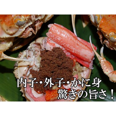 驚きの旨さ!茹でセコガニ 【訳あり】 中サイズ5匹入(冷凍)