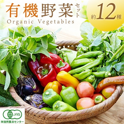 【有機JAS認定 有機野菜】オーガニック野菜セット(4人用、おまかせ12種前後)