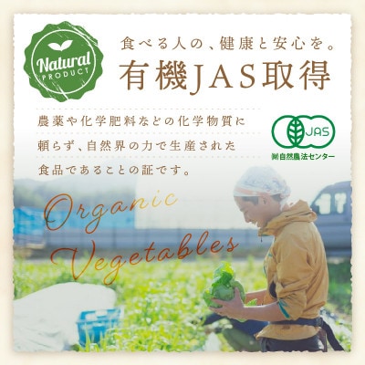 【有機JAS認定 有機野菜】オーガニック野菜セット(2人用、おまかせ6～7種類前後)