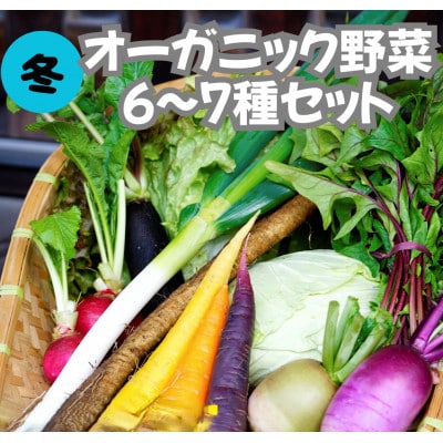 【先行予約】11月より順次発送《てんとうむしばたけ》冬のオーガニック野菜セット　有機野菜6～7種前後