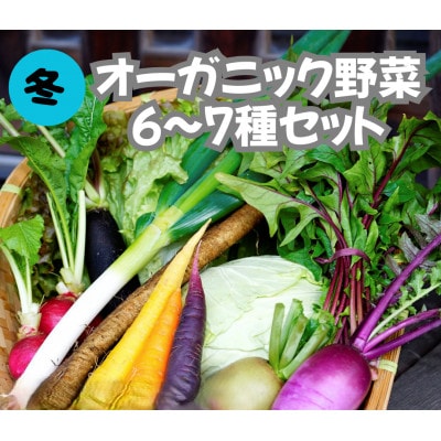 【先行予約】12月より順次発送《てんとうむしばたけ》冬のオーガニック野菜セット　有機野菜6～7種前後