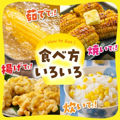 甘くておいしい!有機栽培の京都・京丹後産とうもろこし　てんとうむしばたけからお届けするスイートコーン