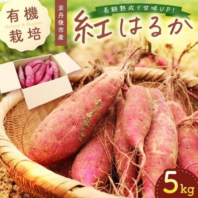 甘くてほくほく!有機栽培の京都・京丹後産さつまいも(紅はるか)5kg　てんとうむしばたけのサツマイモ