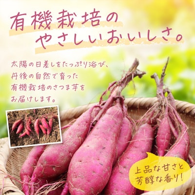 甘くてほくほく!有機栽培の京都・京丹後産さつまいも(紅はるか)5kg　てんとうむしばたけのサツマイモ