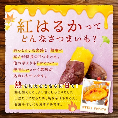 甘くてほくほく!有機栽培の京都・京丹後産さつまいも(紅はるか)5kg　てんとうむしばたけのサツマイモ