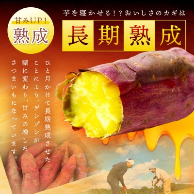 甘くてほくほく!有機栽培の京都・京丹後産さつまいも(紅はるか)5kg　てんとうむしばたけのサツマイモ