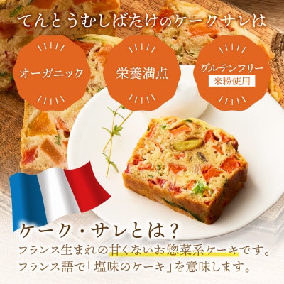 やさいたっぷりケーク・サレ(550g×3本) 簡易包装 米粉と野菜で作ったグルテンフリーの塩ケーキ