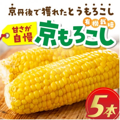 有機栽培の京都産とうもろこし　生食可!新鮮で甘い!てんとうむしばたけのスイートコーン