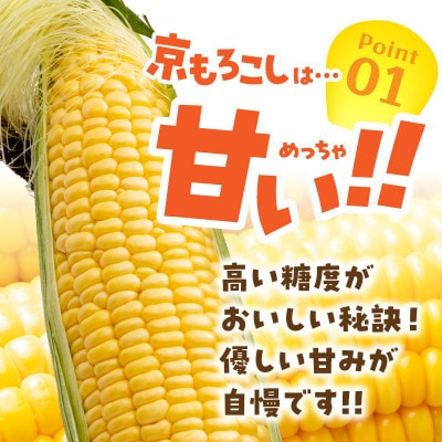 有機栽培の京都産とうもろこし　生食可!新鮮で甘い!てんとうむしばたけのスイートコーン