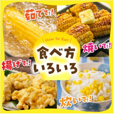 有機栽培の京都産とうもろこし　生食可!新鮮で甘い!てんとうむしばたけのスイートコーン