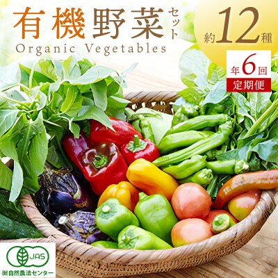 【2ヵ月毎定期便】オーガニック野菜セット(4人用、おまかせ12種前後)全6回