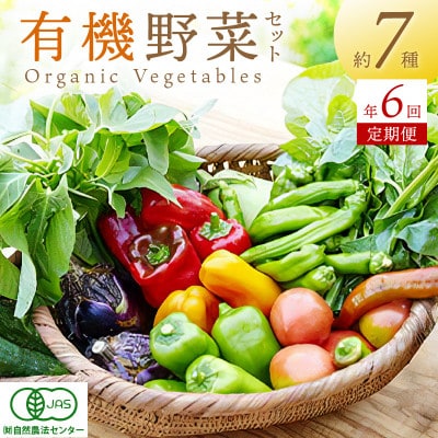 【2ヵ月毎定期便】オーガニック野菜セット(2人用、おまかせ7種前後)全6回