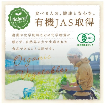 【発送月固定定期便】【6回定期便】<てんとうむしばたけ>オーガニック有機野菜12種(4人用)全6回
