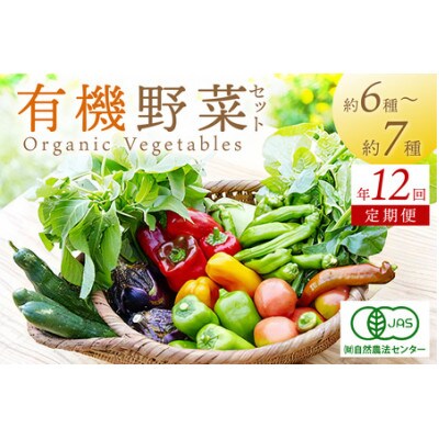 【毎月定期便】オーガニック野菜セット(2人用、おまかせ6～7種前後)全12回