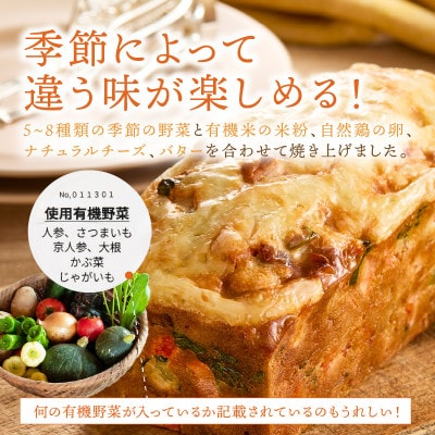 【発送月固定定期便】【2回定期便】やさいたっぷりケーク・サレ(550g×2本)簡易包装 全2回