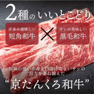 某グルメ☆テレビ番組で人気の京たんくろ和牛のすきやき・しゃぶしゃぶ(冷凍)お肉500g　2～3人前