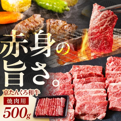【旨み成分12倍】京たんくろ和牛の焼肉(冷凍)お肉500g　焼肉用2～3人前(京丹後市)