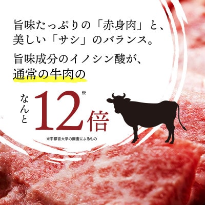 【旨み成分12倍】京たんくろ和牛の焼肉(冷凍)お肉500g　焼肉用2～3人前(京丹後市)