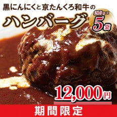 【限定】黒にんにくと京たんくろ和牛のハンバーグ5袋 期間限定12,000円