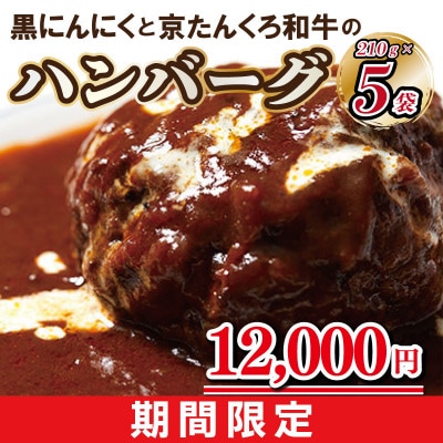 【限定】黒にんにくと京たんくろ和牛のハンバーグ5袋　期間限定12,000円