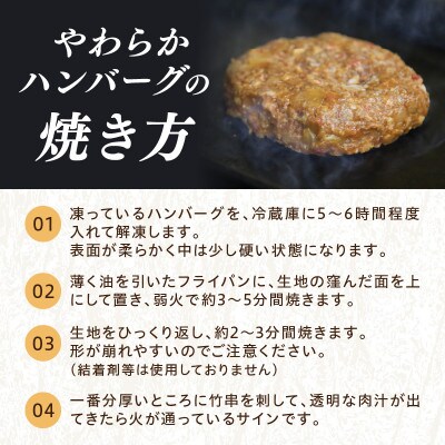 【2025年9月上旬発送】塩で食べる京たんくろ和牛使用やわらかハンバーグ(デミグラスソース付)