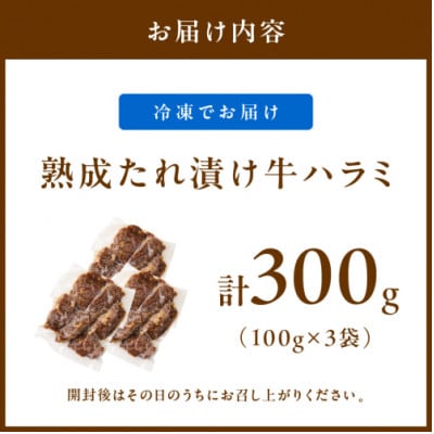 【肉専門店が作る】こだわりのたれ漬けハラミ 1パック100g×3袋　ご飯が進む逸品