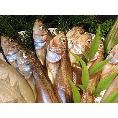 京丹後の地元魚屋がお届けする干し物セット