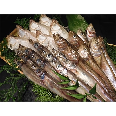 京丹後の地元魚屋がお届けする干し物セット