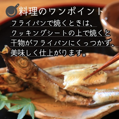 【冬限定】京都 京丹後の地元魚屋が作ったお任せ干物【訳あり】　期間限定8,000円
