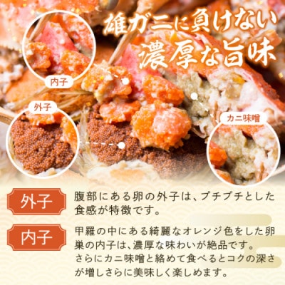 【訳あり】茹でセイコガニ(セコ蟹/香箱ガニ/こっぺ)　5匹【冷凍】 冷凍ガニ 貴重なめす蟹をどうぞ