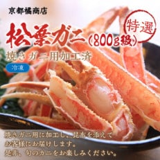 【特選】松葉ガニ(800g級)焼きガニ用加工済(昆布付き)