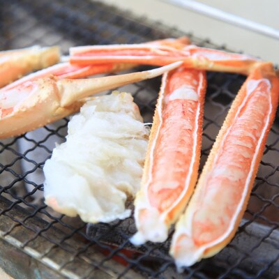 【特選】松葉ガニ(800g級)焼きガニ用加工済(昆布付き)
