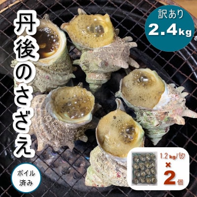 【 訳あり 】京都府産　日本海 天然 さざえ ( ボイル済 ) 2.4kg  (約24〜48個)