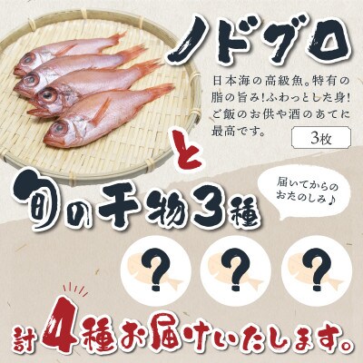 日本海の高級魚ノドグロ3枚と旬の干物(合わせて)4種セット