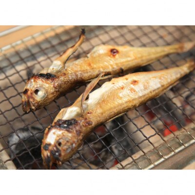 【2024年11月下旬発送】京都 京丹後の地元鮮魚店が作ったお任せ干物　3種【訳あり】